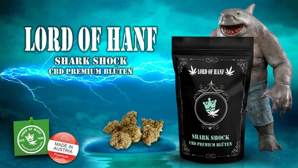 cbd-cannabisblueten-legal-kaufen-shark-shock