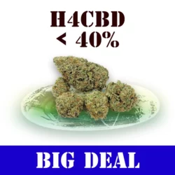 h4cbd-blueten-big-deal