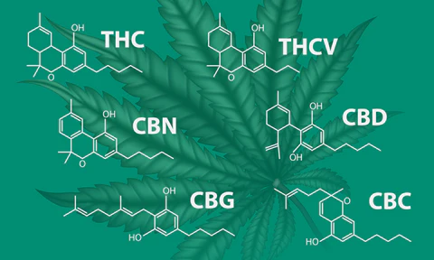 Cannabichromen (CBC)