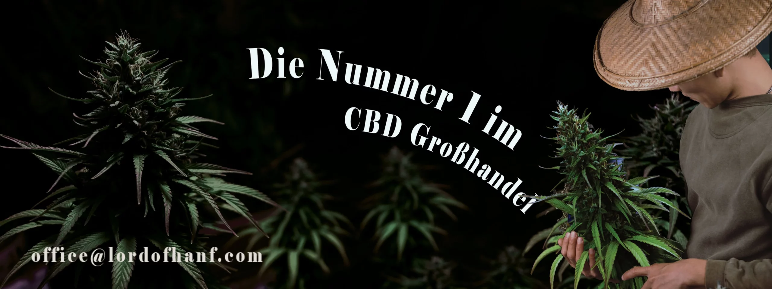 b2b-grosshandel-cbd-großhandel